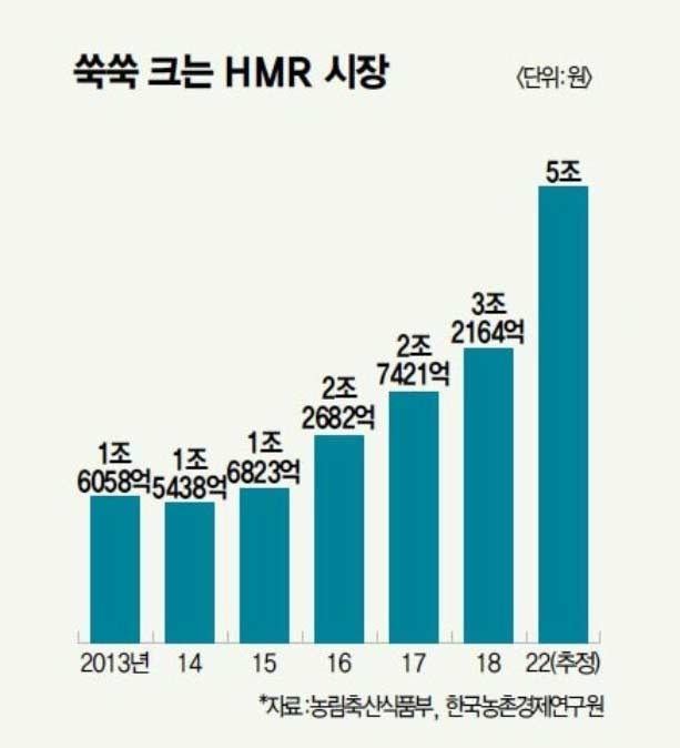 2-HMR-국내-시장-리포트-550x641_c