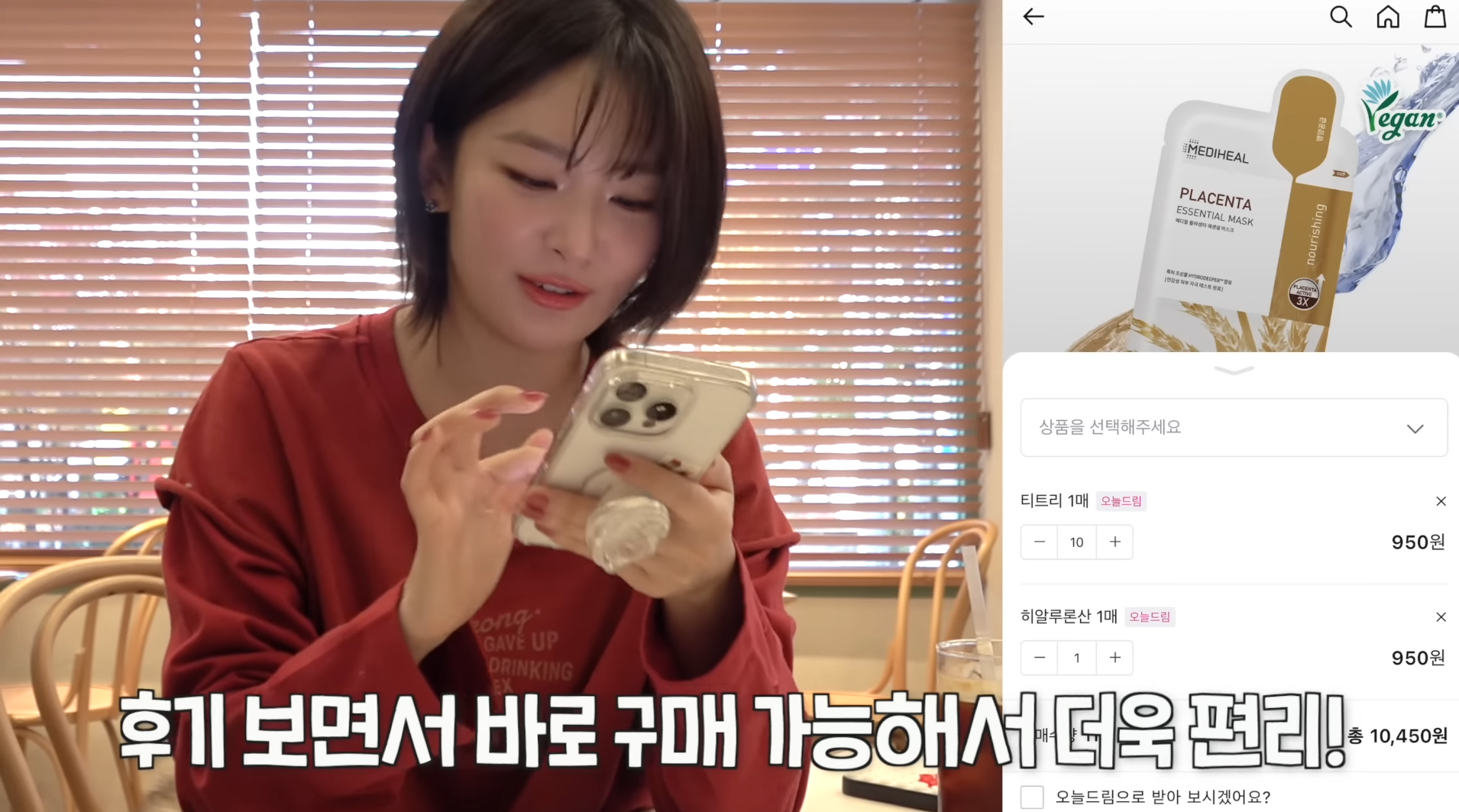 연예인 유튜브 ppl
