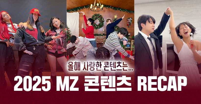 2025 mz세대 밈 챌린지 총 정리