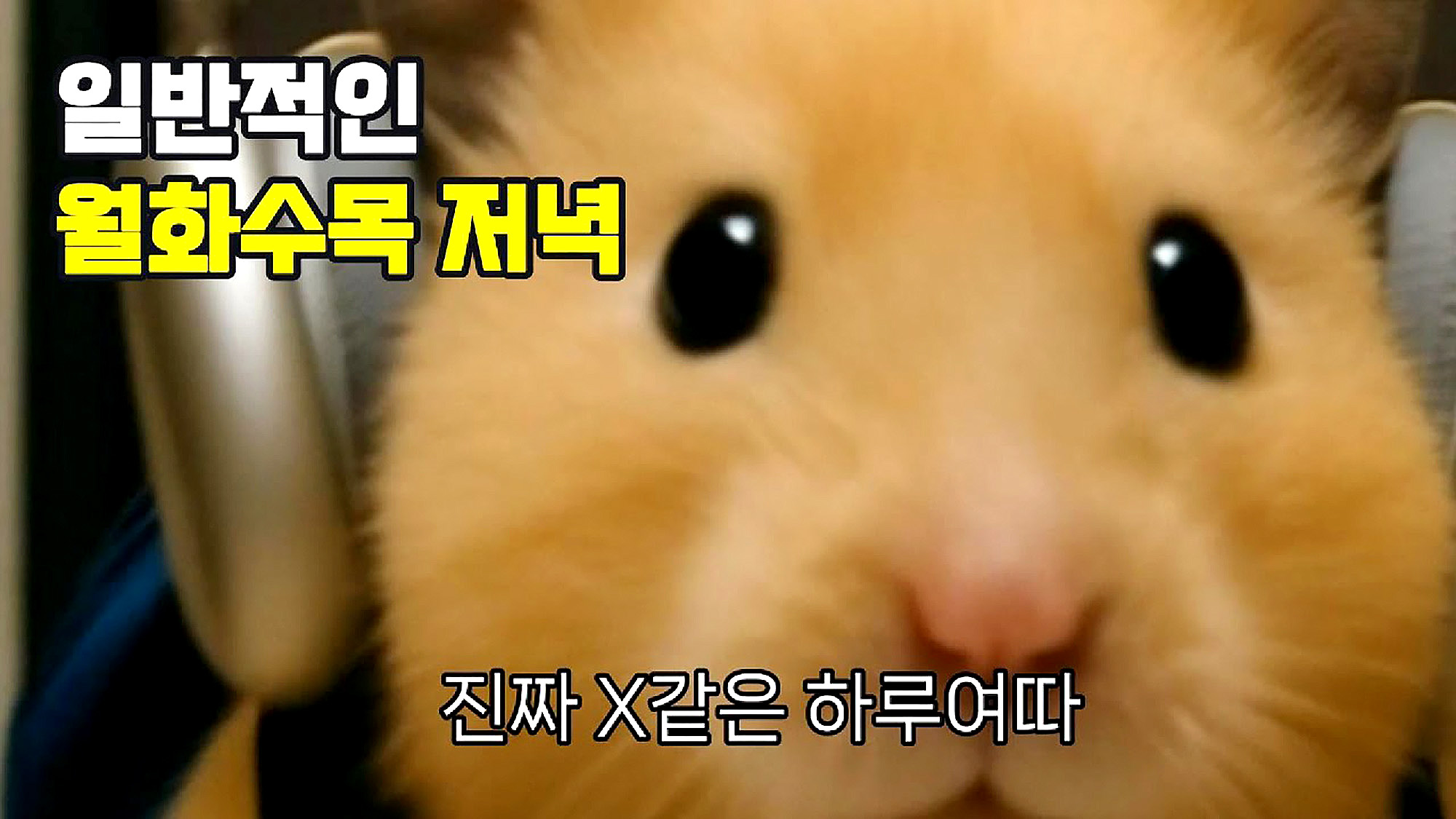 AI 캐릭터 유튜버 정서불안 김햄찌