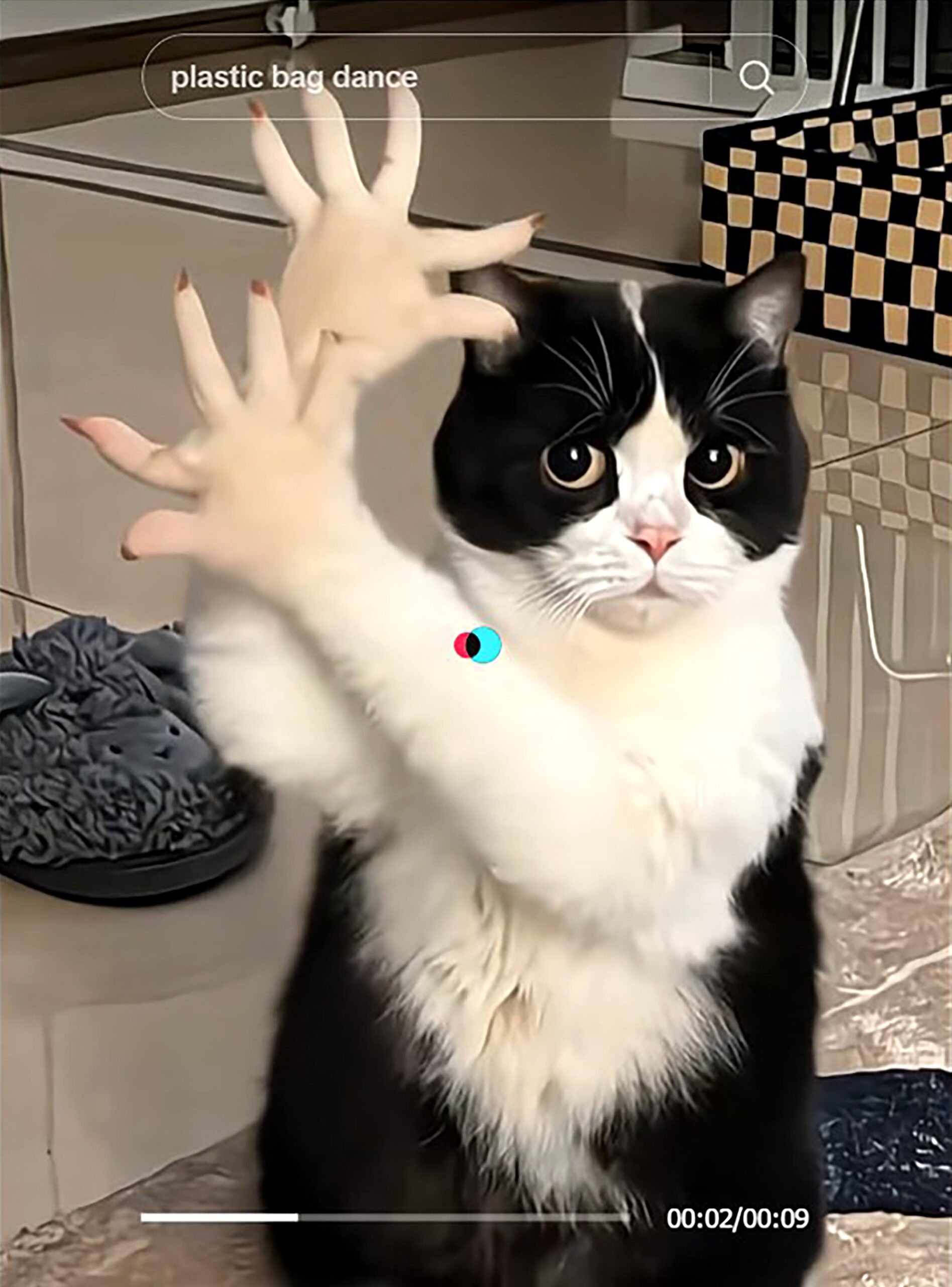 새춤 AI 필터를 사용한 틱톡 영상 (출처: TikTok)